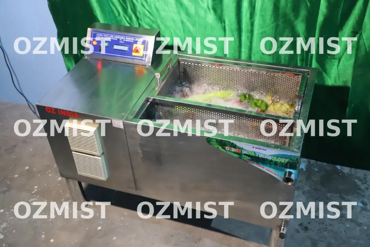 Ozone Fruit & Vegetable Washer — interior